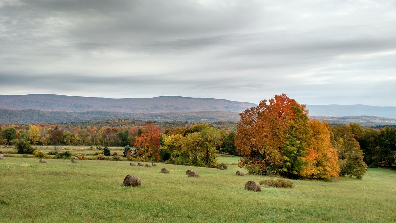 Meadowood Farm Bed and Breakfast Brattleboro Εξωτερικό φωτογραφία