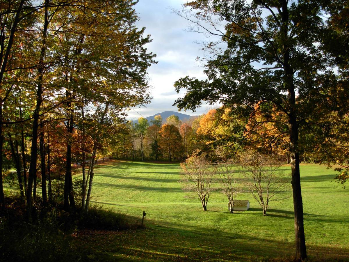 Meadowood Farm Bed and Breakfast Brattleboro Εξωτερικό φωτογραφία